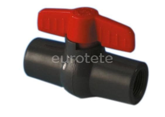   - 65146 - Eurotete